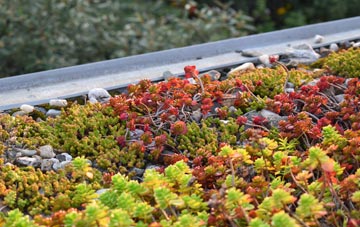 the cost of Hatfield Garden Village green roof installation